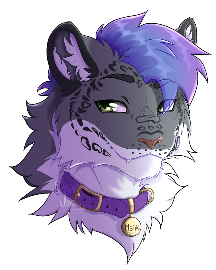 Bust flat - Comms Falco